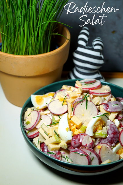 Salat mit Radieschen, Eiern, Käse und Äpfeln